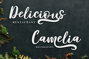 Delaras, a Script Font by Megatype (Thumbnail 2 of 9)
