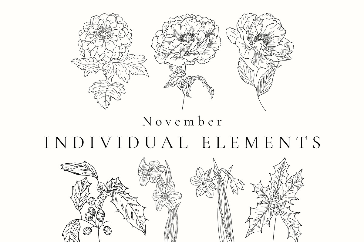 Birth Month Flowers SVG - PNG, a Decorative Illustration by AW Studios (Photo 8 of 11)