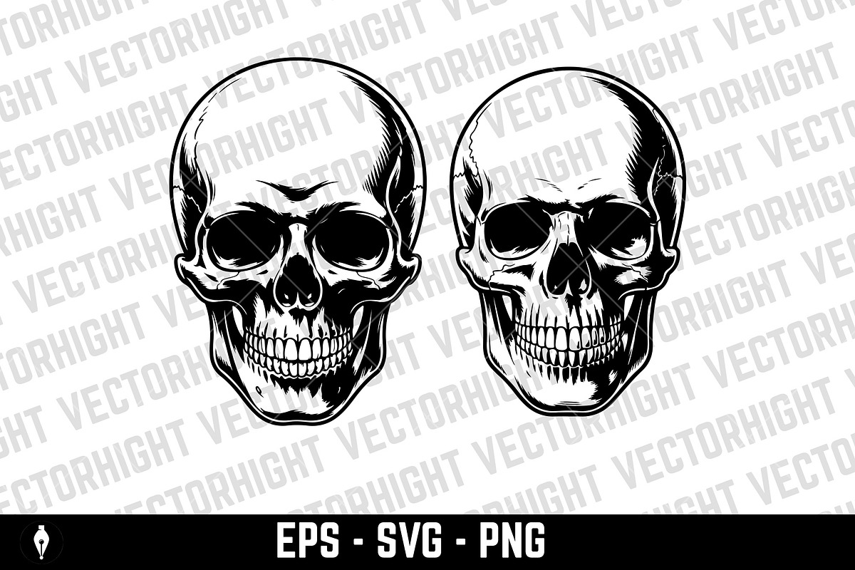 Illustration of a human skull, a Person Illustration by Vectorhight (Photo 2 of 3)