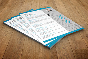 Clean Resume / Cv Template-V029