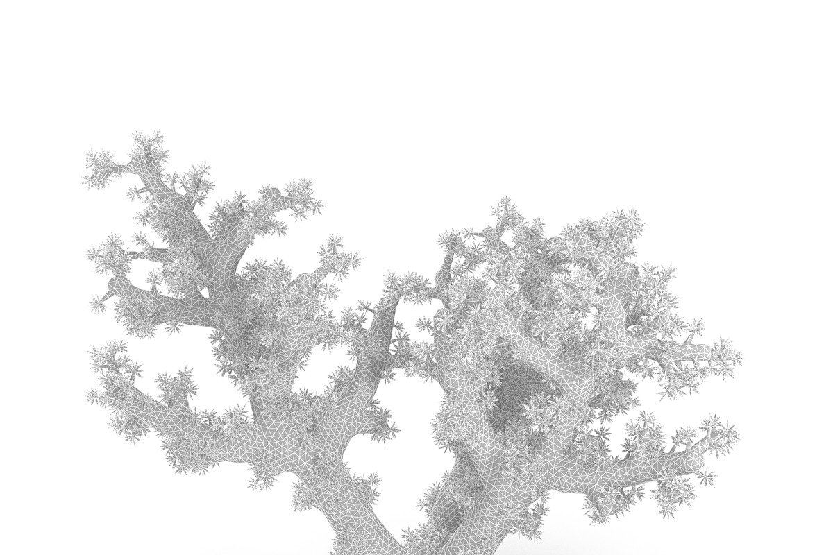 Acropora aasp 1, an Environmental 3D Model by AndrewWhite (Photo 3 of 11)