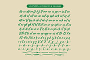 Hamilton Brittany Bold Brush Font, a Script Font by Letterena Studios Script (Thumbnail 18 of 20)