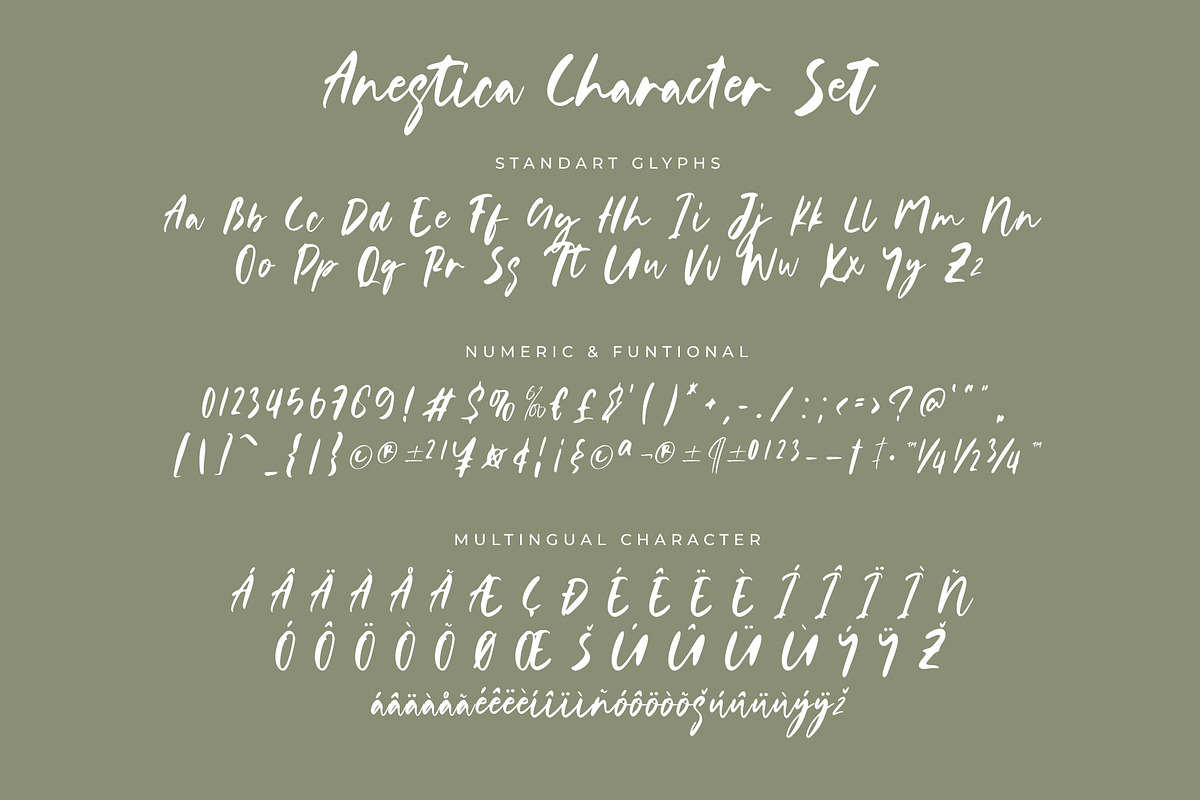 Anestica Natural Handwritten Font, a Script Font by RantautypeStudio (Photo 15 of 15)