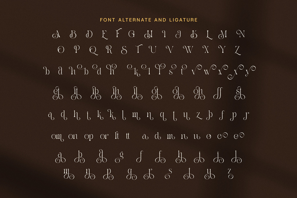 Drak Sistem Elegant Swash Serif Font, a Serif Font by Elegant Font (Photo 8 of 8)