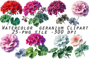 Watercolor geranium Clipart, an Illustration by Designworld (Thumbnail 1 of 5)