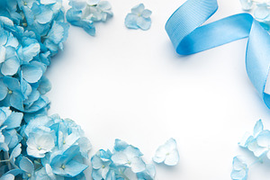 Blue hydrangeas and ribbon forming elegant frame, a Holiday Photo by Olena Rudo