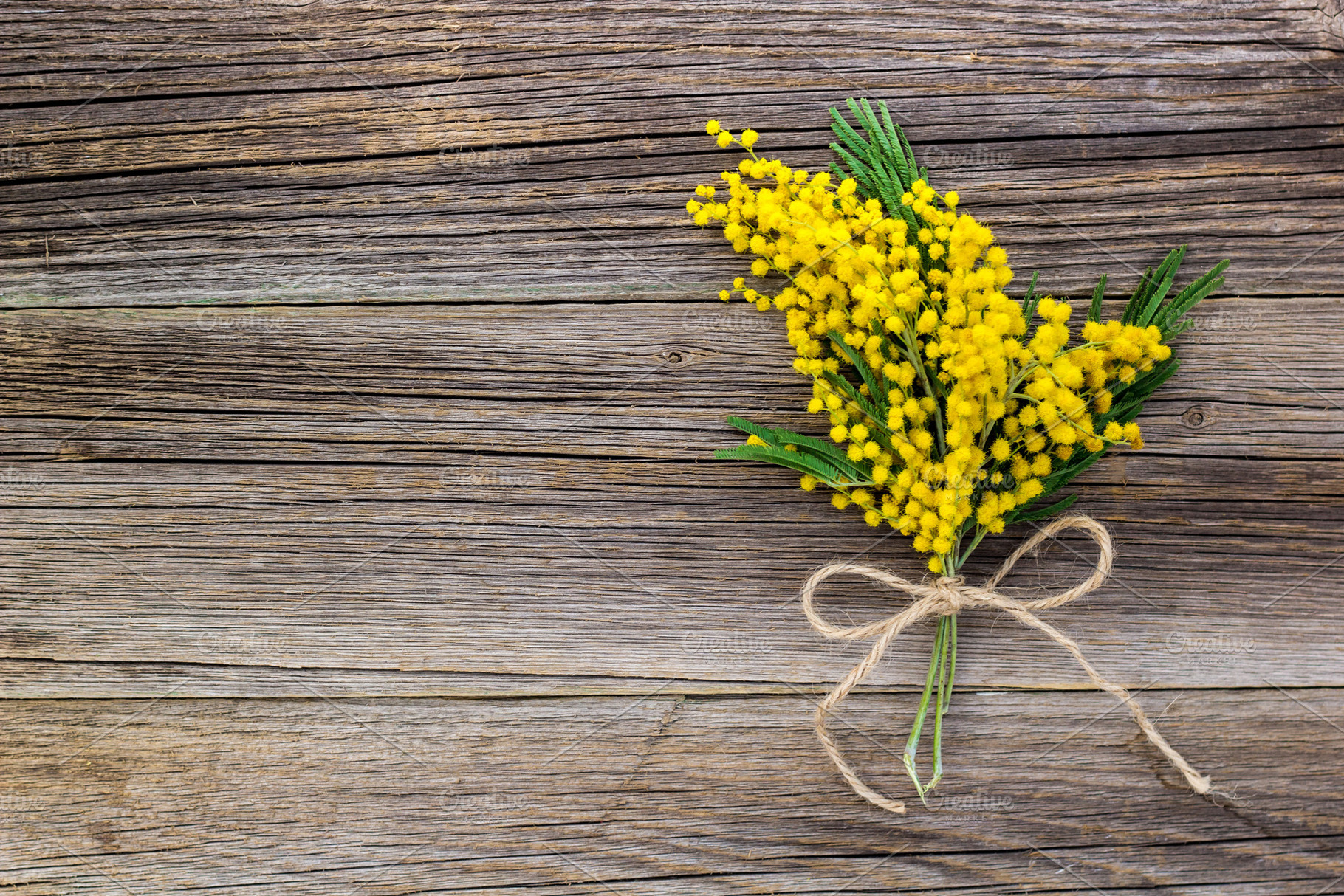 Yellow spring Mimosa bouquet with bo, a Nature Photo by dashtik