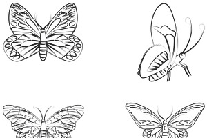 Butterfly Outlines Set 2 Procreate