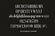 Mirellow White Distressed Serif, a Serif Font by Letterhend Studio (Thumbnail 9 of 13)