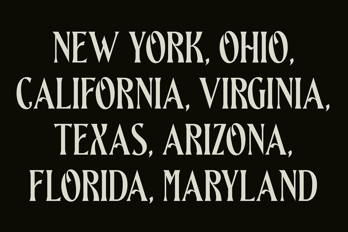 Rattana - Display Serif Typeface, a Serif Font by Product Experience (Photo 6 of 9)
