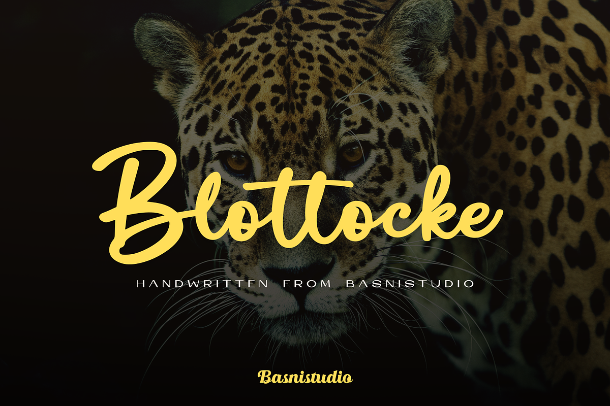 Blottocke a Handwritten Font, a Script Font by Basnistudio (Photo 1 of 10)