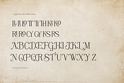 Rinovich | Display Serif Font, a Serif Font by gracetype_studio (Thumbnail 12 of 12)