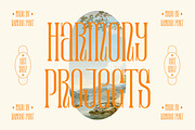 Ramose Serif Display Font, a Serif Font by Kulokale (Thumbnail 5 of 10)