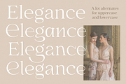 Selna, a Serif Font by Larin Type Co. (Thumbnail 5 of 15)