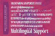 Mellgro High Contrast Modern Serif, a Serif Font by timelesstype.co (Thumbnail 17 of 20)