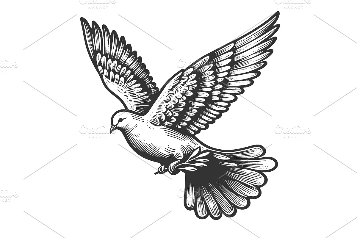 Flying Dove with Olive Branch vector, an Animal Illustration by AlexArt