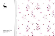 Flora | Watercolor Flower Collection, an Illustration by Karma (Thumbnail 16 of 26)