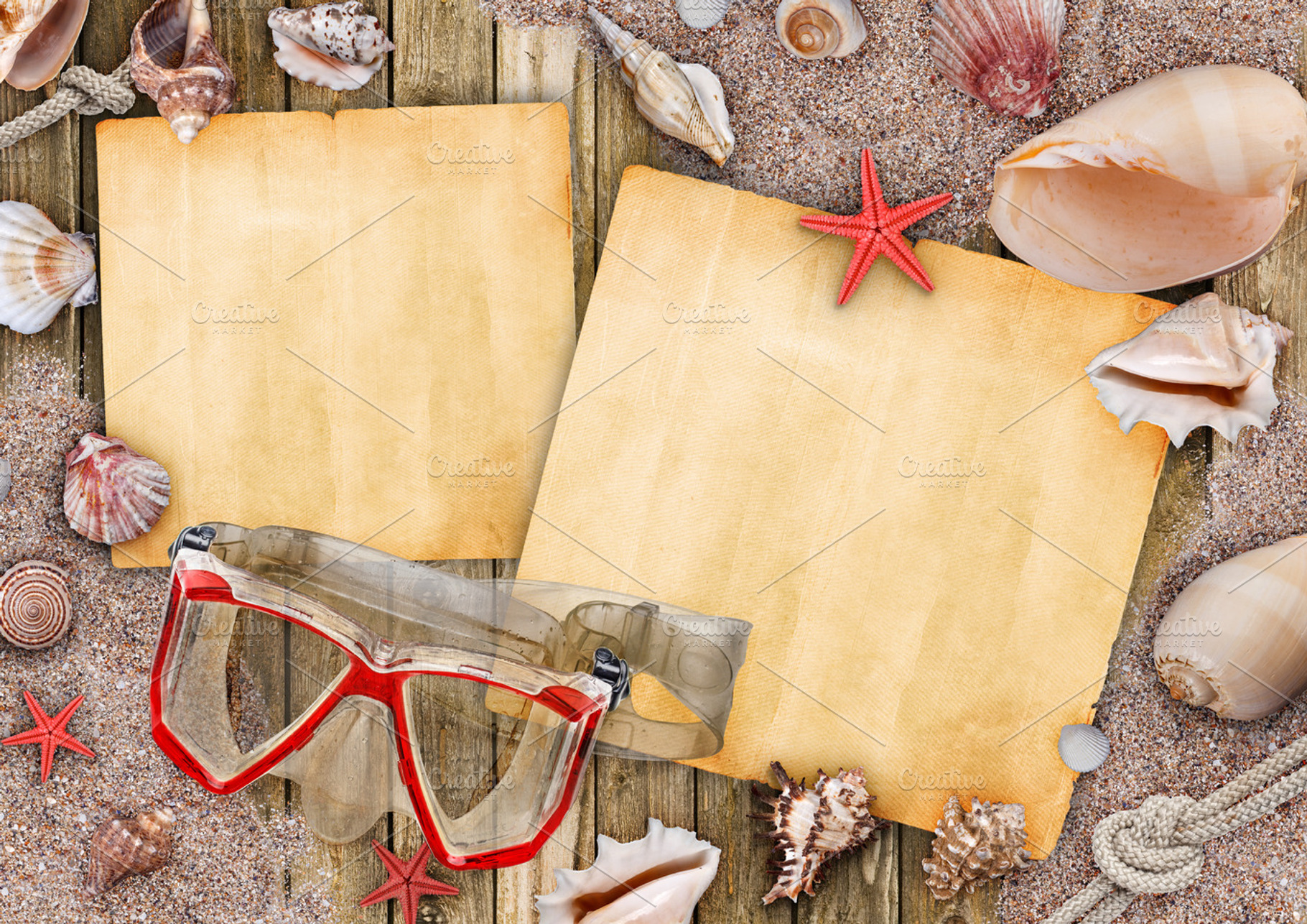 Summer Concept Stock Photo Containing Shell And Background