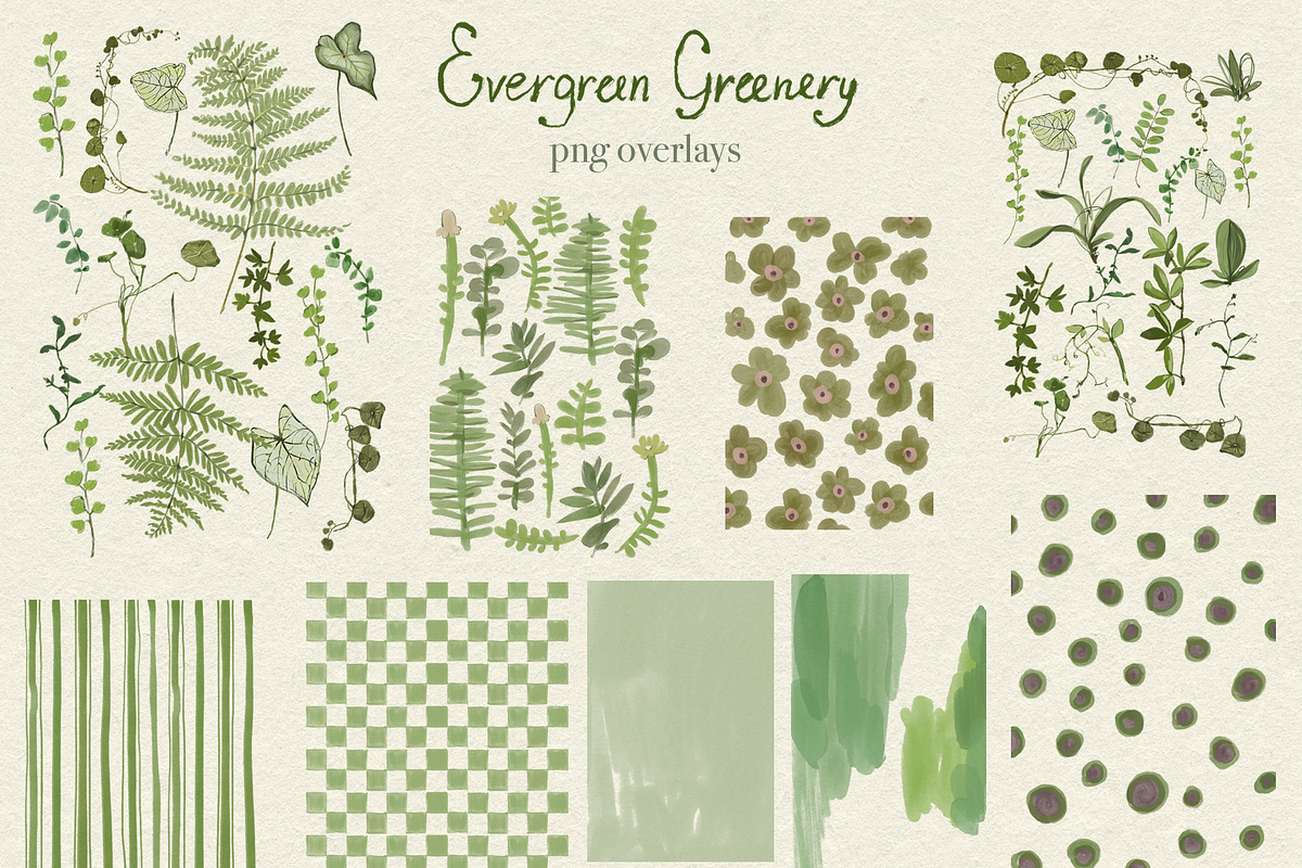 Greenery & Ferns PNG Illustrations, a Decorative Illustration by whiteheartdesign (Photo 18 of 19)