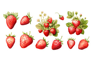 Strawberry, Berries, Bush And