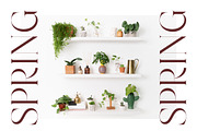 Hamster Modern Serif Font, a Serif Font by Letterena Studios (Thumbnail 3 of 15)