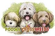 Poodle Cross Breeds 27 Dogs/Puppies, an Animal Illustration by Dneprstock (Thumbnail 1 of 27)