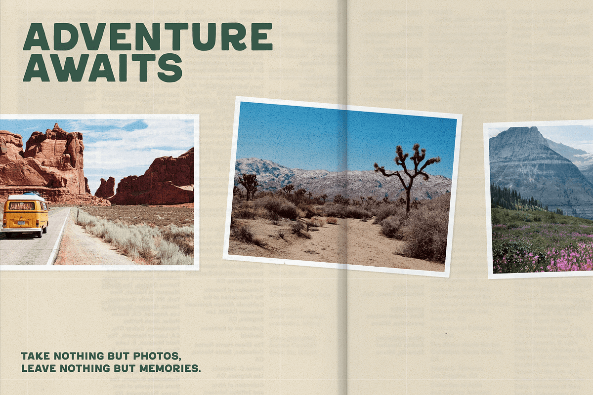 Wild Pines Park National Park Font, a Sans Serif Font by TYPEHEIST (Photo 9 of 10)