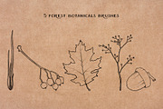 Mushroom Procreate Stamps: Line Art, a Brush Add-On by Little Nordic Atelier (Thumbnail 4 of 4)