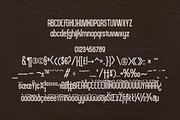 Asiach, a Script Font by jorse (Thumbnail 4 of 4)