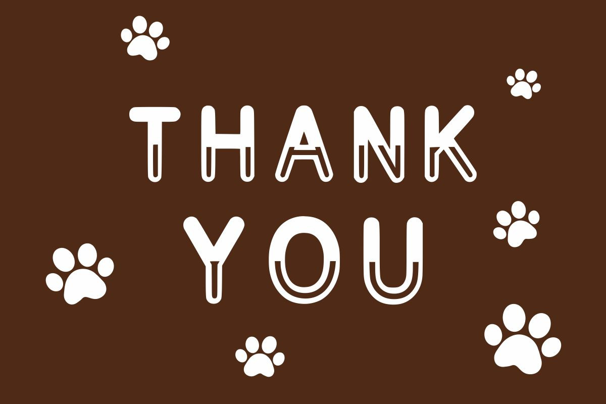 Crazy Dog, a Handwritten Font by Fourteen Letter (Photo 7 of 7)