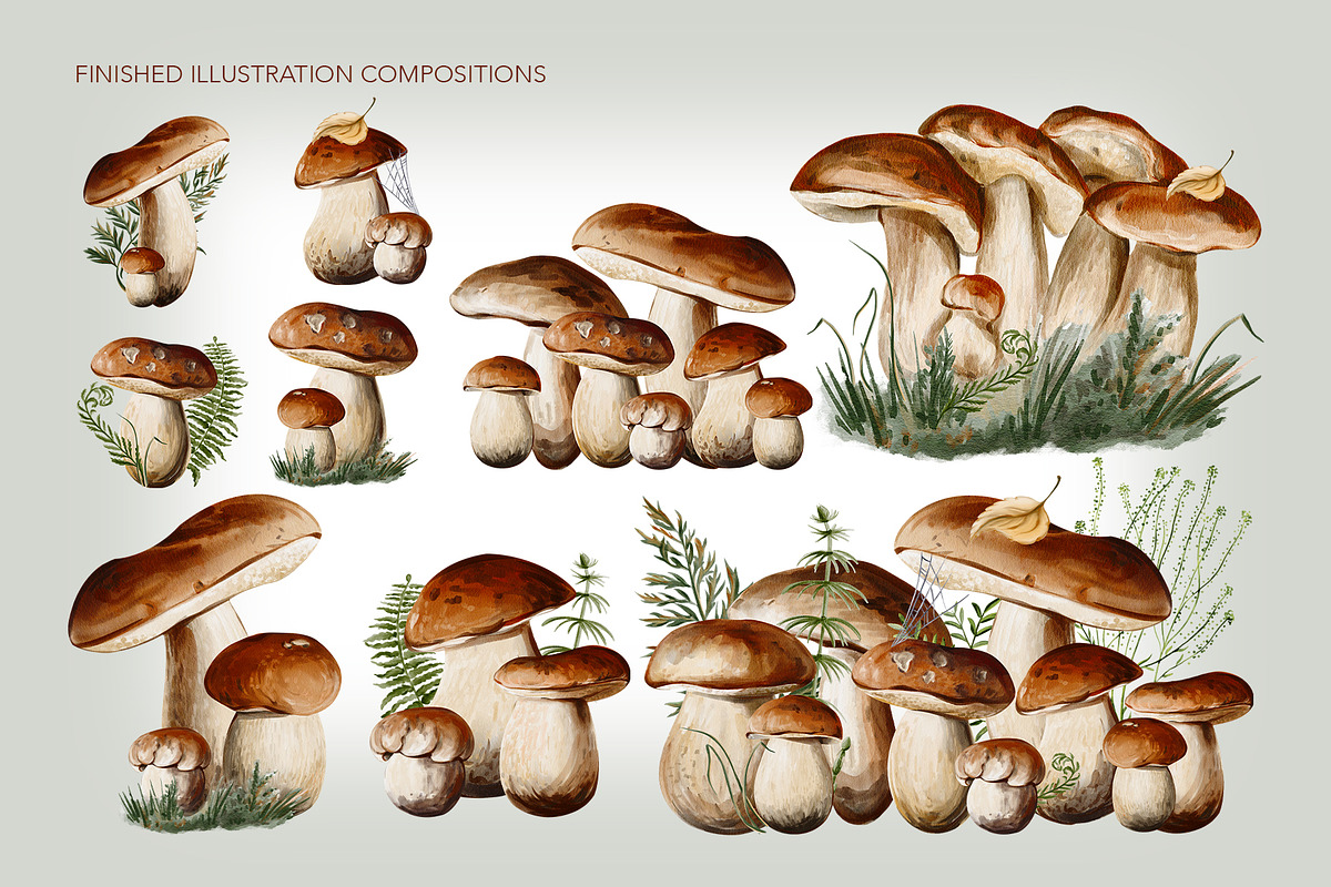 Mushrooms watercolor clip art, a Seasonal Illustration by Alena Sid (Photo 5 of 13)