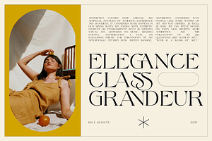 Mile Heights - Elegant Display Serif