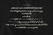 Soittal Signature Script Font, a Script Font by Maulana Creative (Thumbnail 6 of 7)