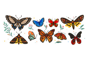 Butterfly Vector Illustration Set