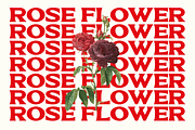 Skilens - Display Serif Typeface, a Serif Font by Comactype Foundry (Thumbnail 14 of 20)