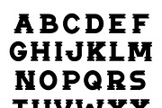 Notch, a Slab Serif Font by Satchel & Sage (Thumbnail 4 of 4)