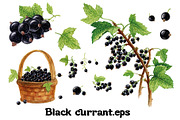 Fruits and berries collection_part 1, an Illustration by ZotovShop (Thumbnail 9 of 20)
