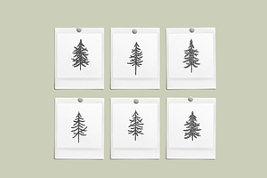 Forest Mountain Vector Illustrations