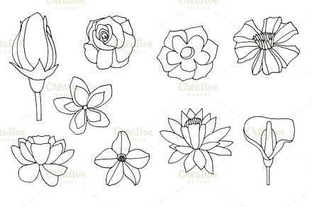 Set flowers