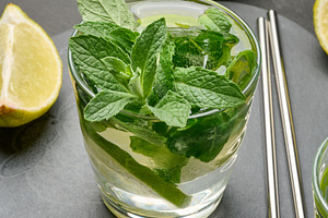 Glass of mojito cocktail with fresh mint leaves, lime slices, an, a Food & Drink Photo by ndanko