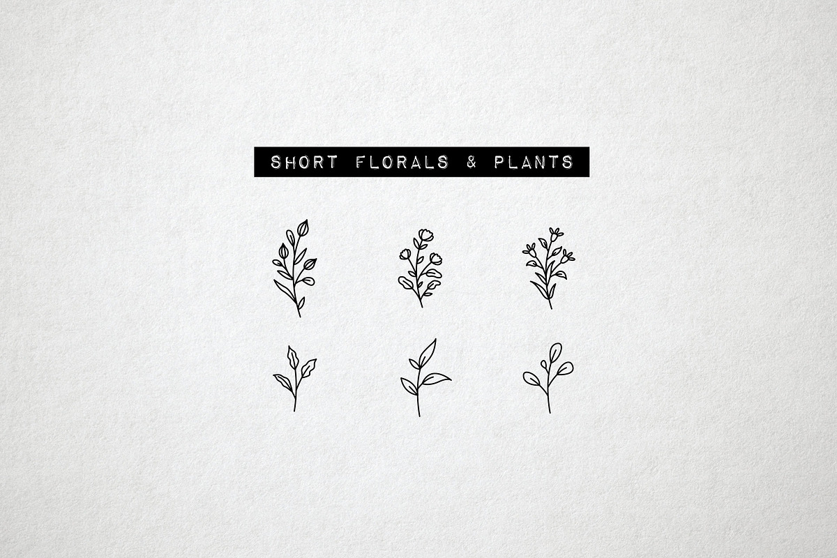 60 Flower and Floral Icons - Vol 2, an Outline Icon by Hatch Design Workshop (Photo 8 of 10)