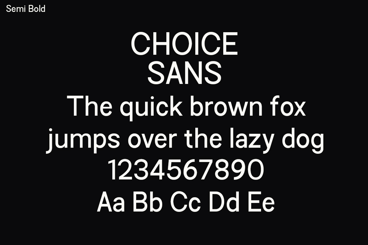 Choice Sans, a Sans Serif Font by Typehill (Photo 7 of 12)