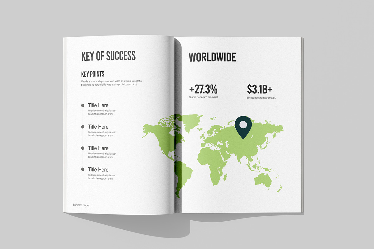 Annual Report Book Template, a Brochure Template by Templeste (Photo 7 of 7)