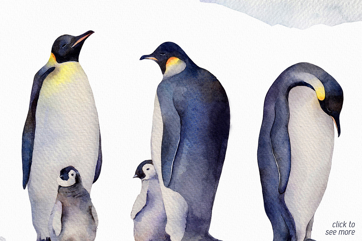 Emperor penguin Watercolor set, an Animal Illustration by Green_leaf_17 (Photo 2 of 2)