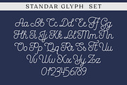 Ariana Script, a Script Font by Zane Studio (Thumbnail 7 of 7)