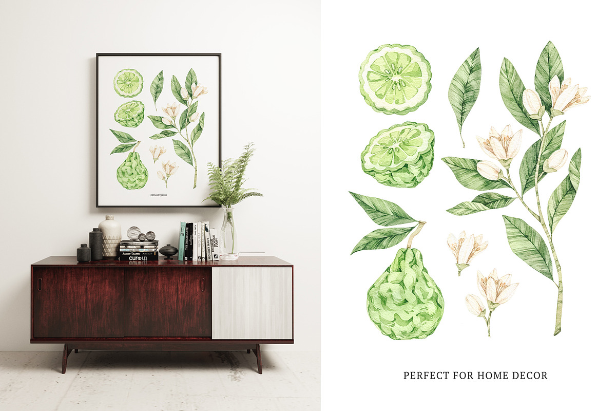 Organic LAB. Watercolor kit, a Decorative Illustration by Kate Macate (Photo 2 of 9)