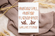 Beaver Moon - Fall Font With Doodles, a Handwritten Font by Freeling Design House (Thumbnail 8 of 8)