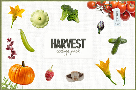 Harvest Collage Pack