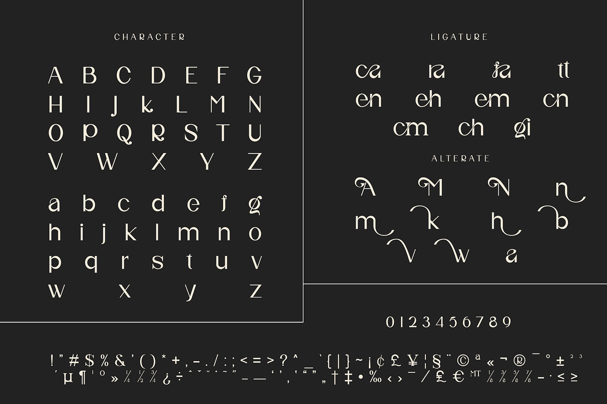 Nifa Ligature Sans Serif Typeface, a Sans Serif Font by yaqublekker (Photo 10 of 10)