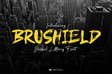 Brushield | Handwritten brush font
